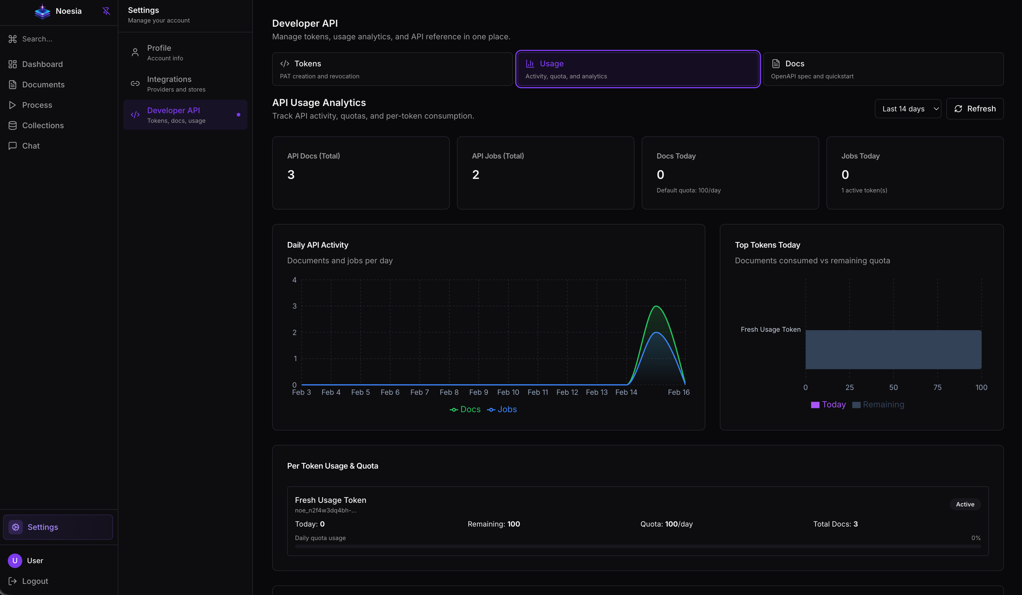 Noesia developer API usage analytics